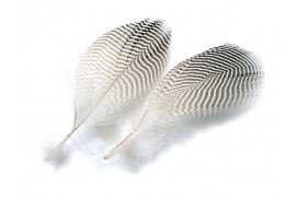 Teal Duck Veniard Flank Feathers Teal Duck Veniard Flank Feathers