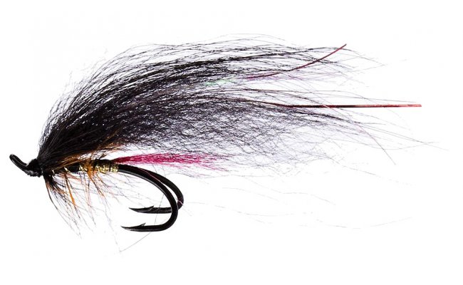 Templedog Templedog, Size 9