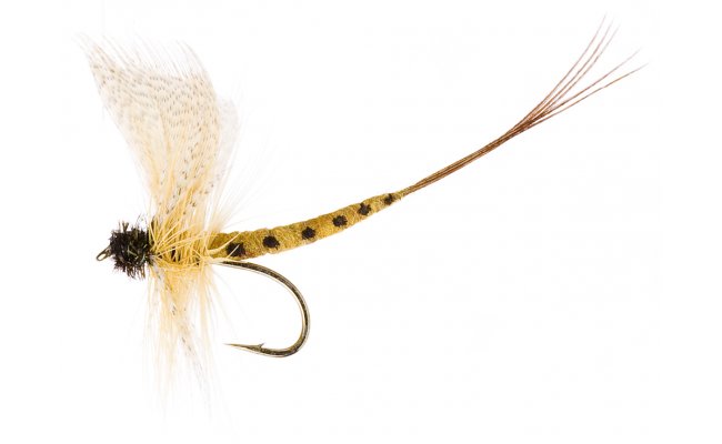 Thomas Yellow May Thomas Yellow May, Size 10