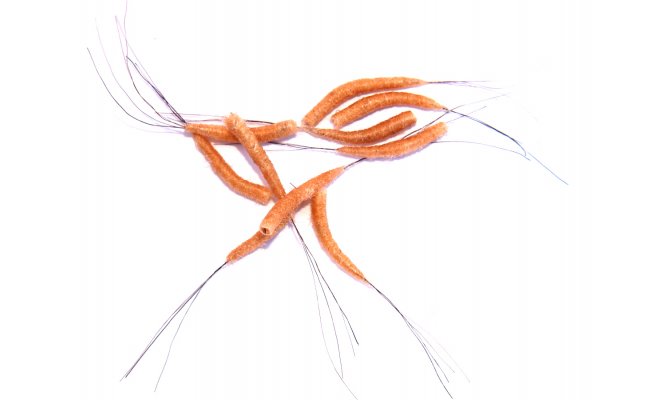 Tube Bodies Hemingway's Mayfly S 12-16 Tube Bodies Hemingway's Mayfly S 12-16, Cream Orange