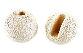 Tungsten Beads Knapek Hooks SUNNY White Tungsten Beads Knapek Hooks SUNNY White 2,0 mm, 10 pcs