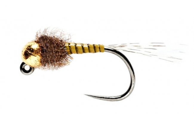 Tungsten Jig Olive Quill Gold Head Tungsten Jig Olive Quill Gold Head, Size 14