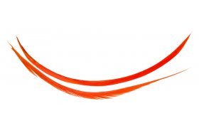 Turkey Biots Hends Turkey Biots Hends Brown