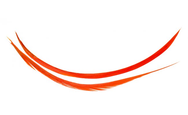 Turkey Biots Hends Turkey Biots Hends Brown