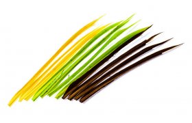 Turkey Biots Veniard Turkey Biots Veniard White