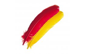 Turkey Veniard Broad Wing Quills Turkey Veniard Broad Wing Quills Bleached White