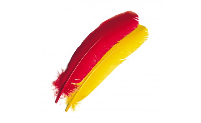 Turkey Veniard Broad Wing Quills Turkey Veniard Broad Wing Quills Bleached White