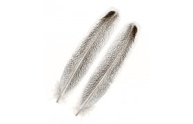 Turkey Wing Quills Veniard Oak Mottled Turkey Wing Quills Veniard Oak Mottled 1st Quality