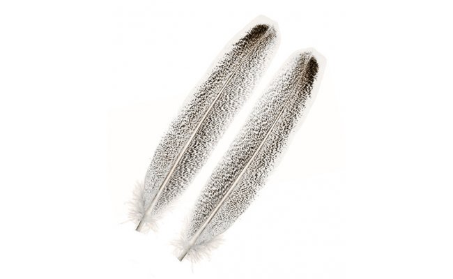 Turkey Wing Quills Veniard Oak Mottled Turkey Wing Quills Veniard Oak Mottled 1st Quality