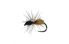 Two-Tone Ant Black & Cream B/L Two-Tone Ant Black & Cream B/L, Size 16