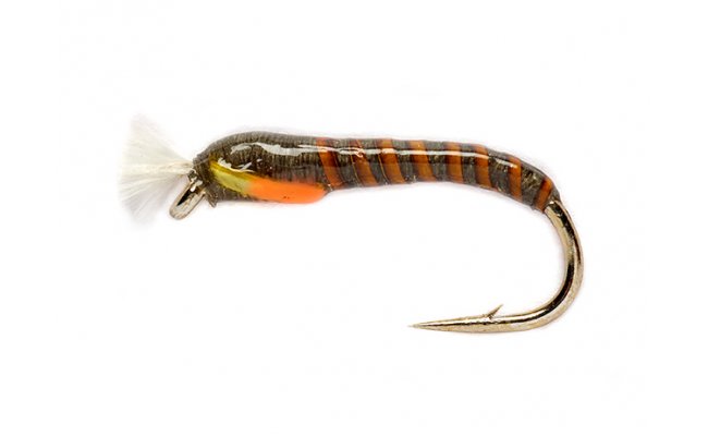 Two Tone Buzzer Olive Two Tone Buzzer Olive, Size 10