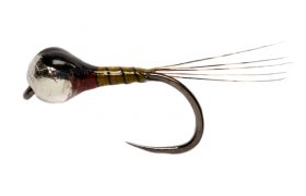 Weiss' BP Dark B/L Weiss' BP Dark B/L, Size 16