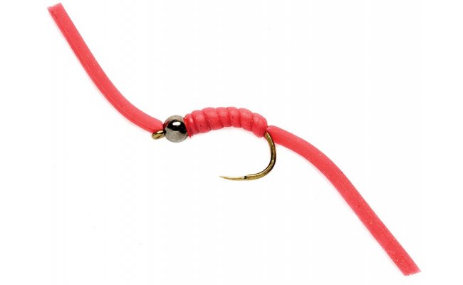 Wiggly Worm B/L Wiggly Worm B/L, Size 8