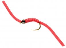 Wiggly Worm B/L