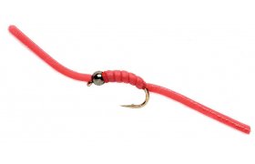 Wiggly Worm Wiggly Worm, Size 12