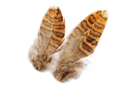 Woodcock Veniard Body Plumage Woodcock Veniard Body Plumage