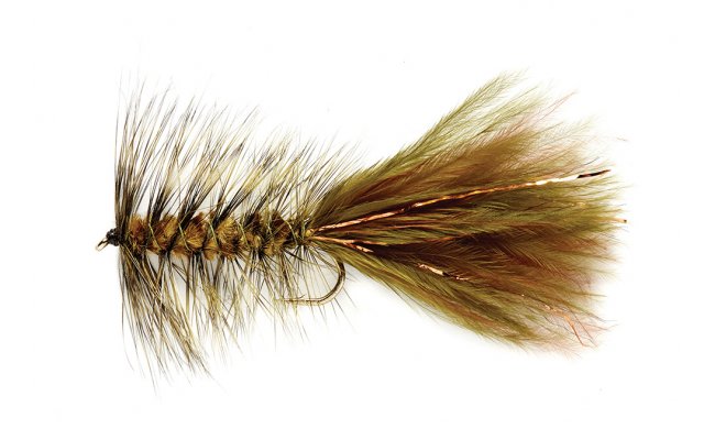 Woolly Bugger Grizzly Woolly Bugger Grizzly, Size 6