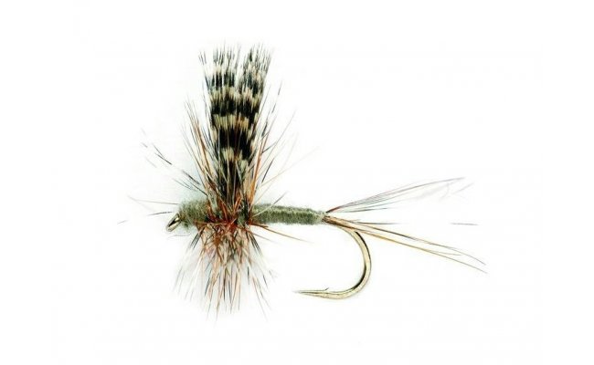 Adams Thorax Adams Thorax, Size 14