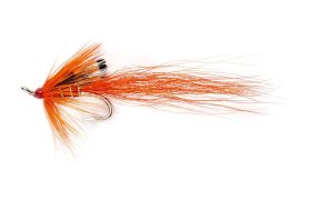 Ally's Shrimp Ally's Shrimp, Size 8