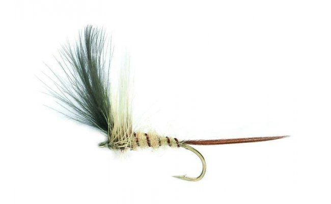 Baz's Mayfly Baz's Mayfly, Size 10