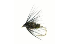 Black & Peacock Spider Black & Peacock Spider, Size 12