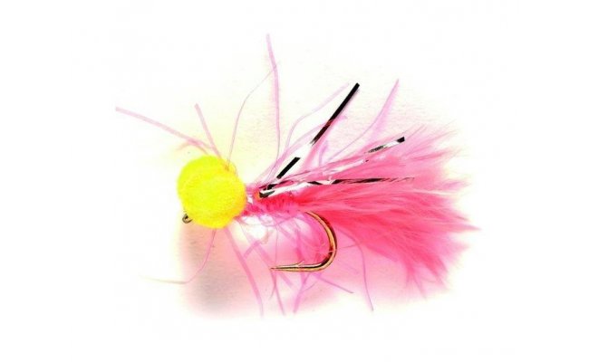 Booby Coral Mini Booby Coral Mini, Size 12