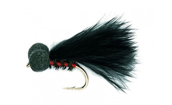 Booby Cormorant 3D Red Booby Cormorant 3D Red, Size 10