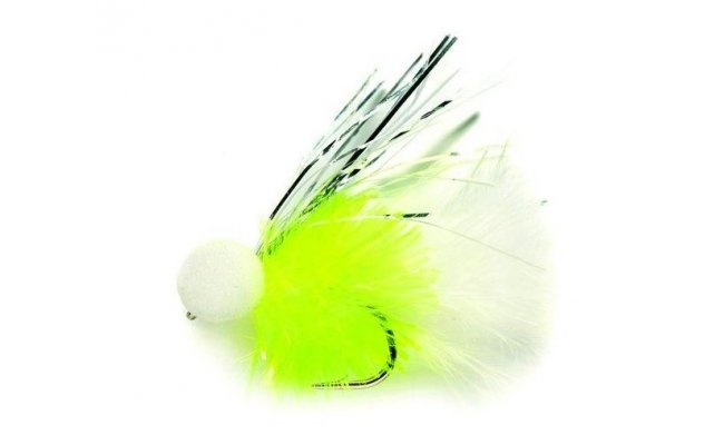 Booby Flash Cat Booby Flash Cat, Size 10