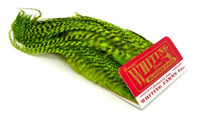 Bugger Pack Whiting Bugger Pack Whiting Grizzly Dyed Fluo Green Chartreuse