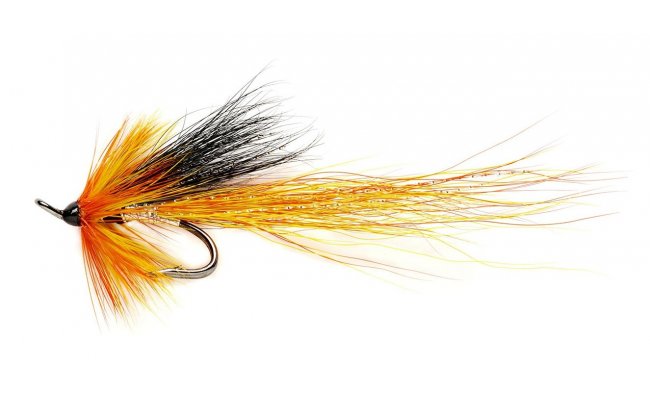 Cascade Shrimp Cascade Shrimp, Size 6