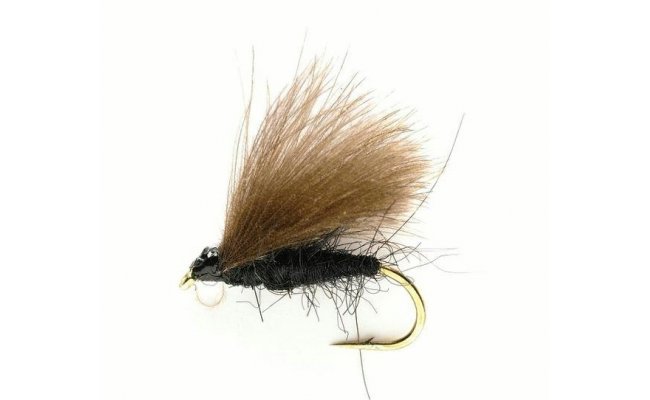 CDC Black CDC Black, Size 16