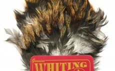 Coq de Leon Whiting Tailing Pack