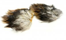 Coq de Leon Whiting Tailing Pack