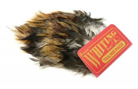 Coq de Leon Whiting Tailing Pack Coq de Leon Whiting Tailing Pack Unique Variant