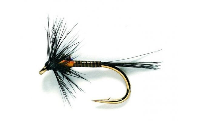 Cruncher Black Traffic Light Cruncher Black Traffic Light, Size 10