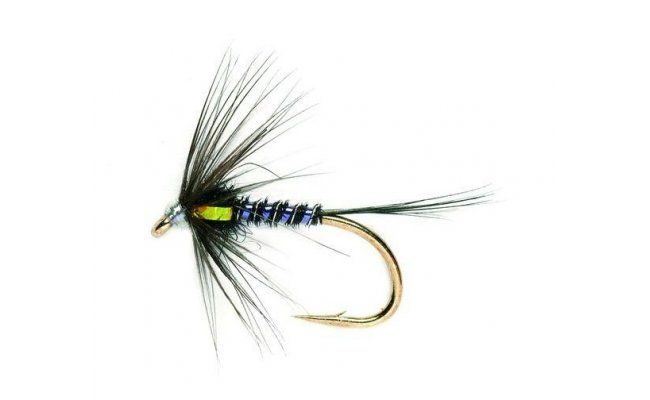 Cruncher Lime Cruncher Lime, Size 10