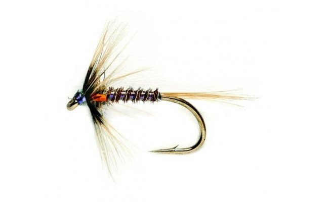 Cruncher Orange Cruncher Orange, Size 12