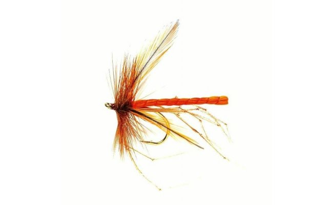 Dad's Daddy Orange Fluorescent Dad's Daddy Orange Fluorescent, Size 10