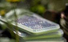 Fly Box Guideline Slim Nymph - In Action