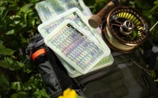 Fly Box Guideline Slim Nymph - In Action