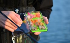 Fly Box Guideline Slim Tri Foam Lime