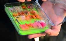 Fly Box Guideline Slim Tri Foam Lime