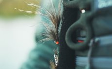 Fly Fishing Chest Pack Guideline Experience