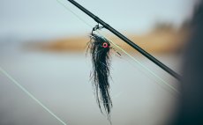 Fly Fishing Set - Guideline Embrace Predator SH - In Action