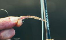 Fly Line Intermediate Guideline Coastal Classic - In Action