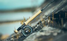 Fly Line Intermediate Guideline Coastal Classic - In Action