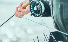 Fly Line Intermediate Guideline Coastal Classic - In Action