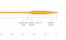 Fly Line Floating Scientific Anglers 3M Air Cel Short 