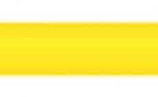 Fly Line Floating Scientific Anglers 3M Mastery Dual Double Taper