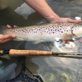Fly Rod Guideline LPs Euro Nymphing - in Action